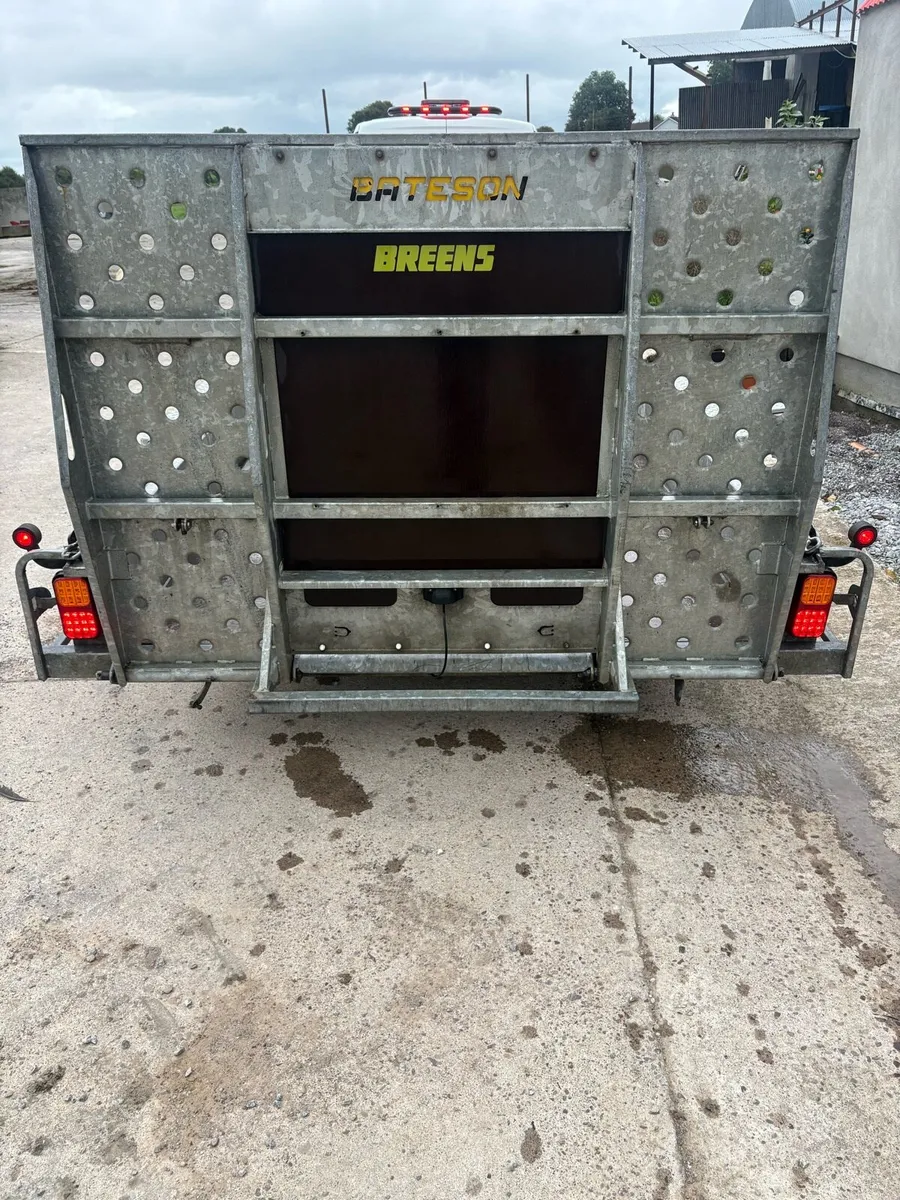 2020 Bateson plant trailer - Image 4