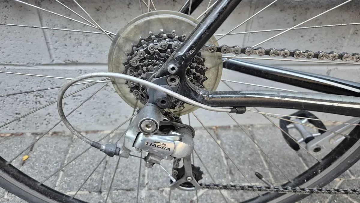 Specialized Dolce Sport - Image 2