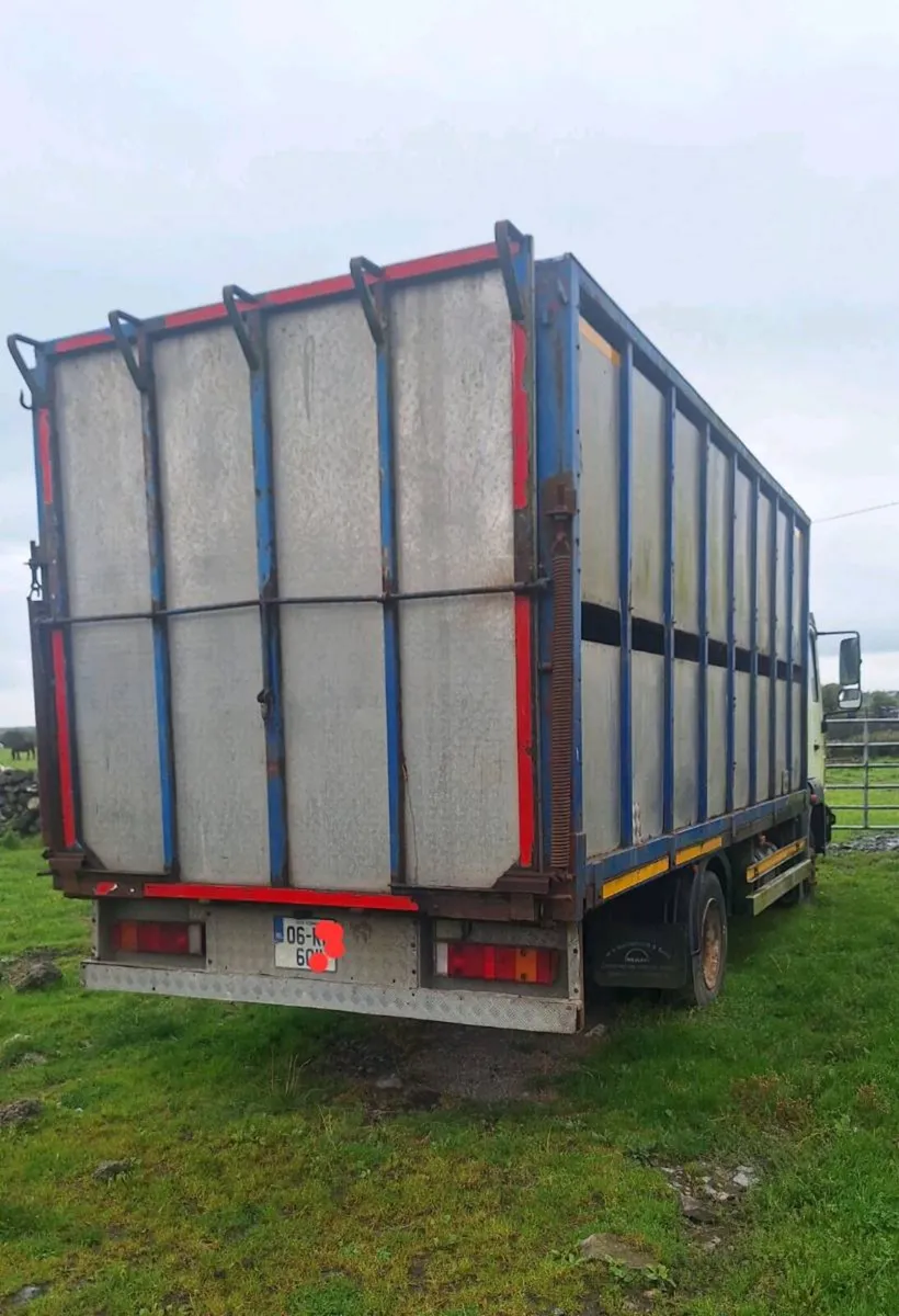 Man Cattle Truck - Image 2