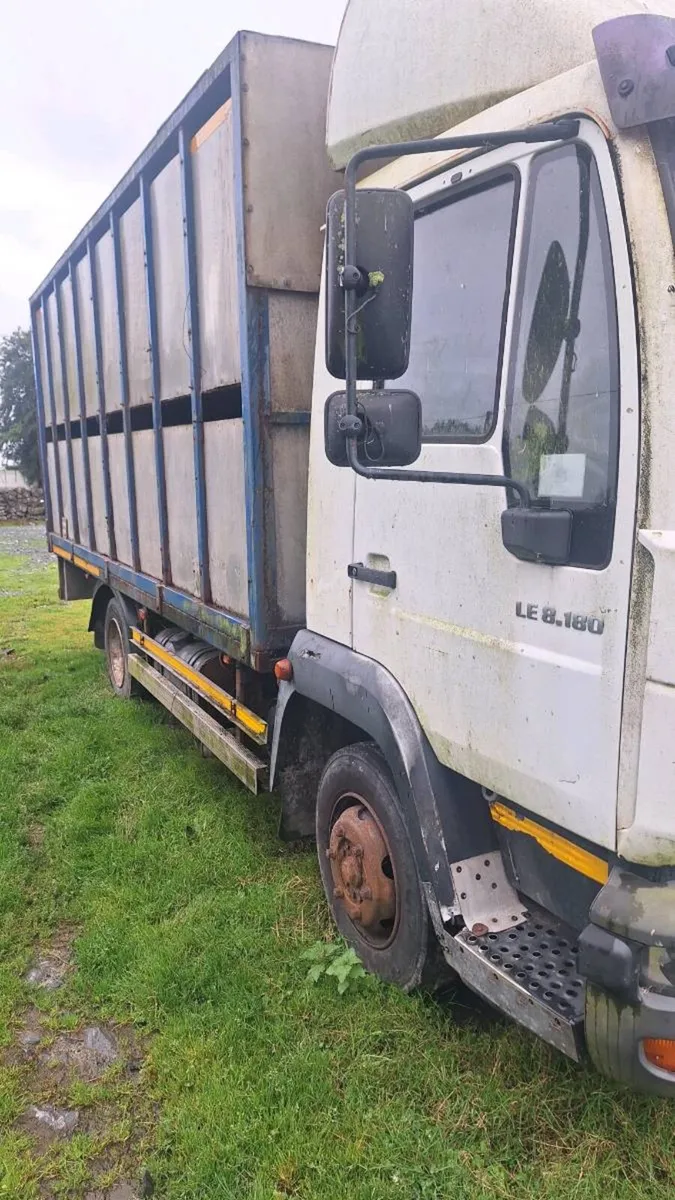 Man Cattle Truck - Image 3