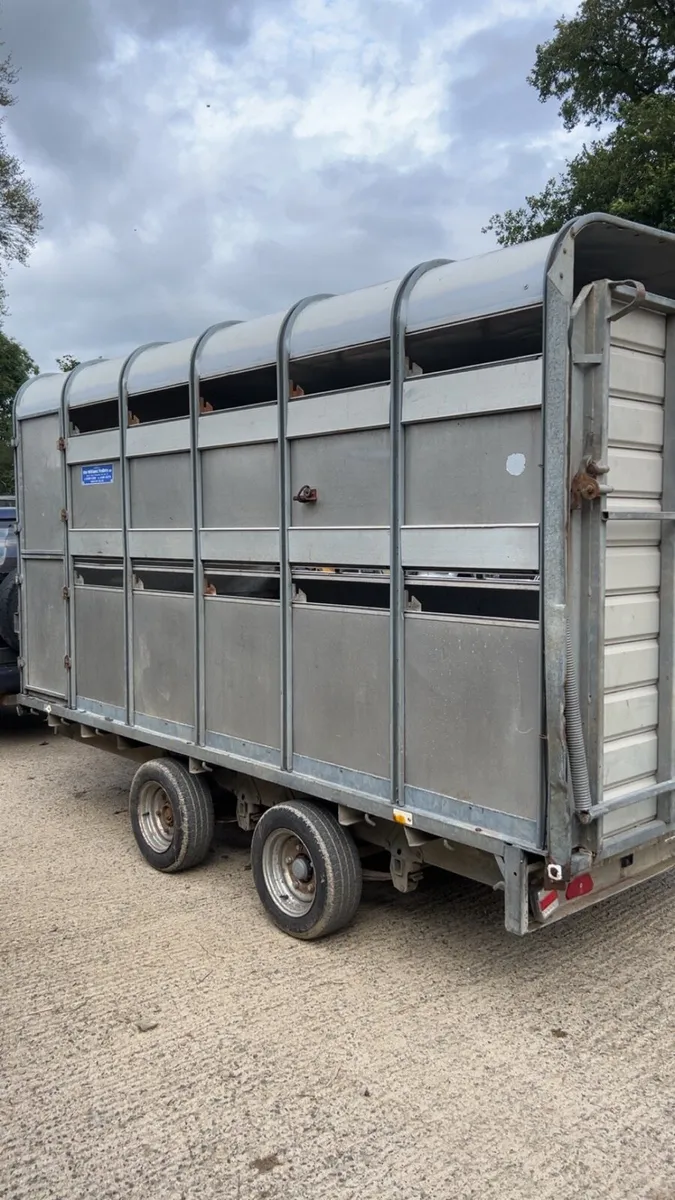 Ifor Williams 12ft cattle box - Image 1
