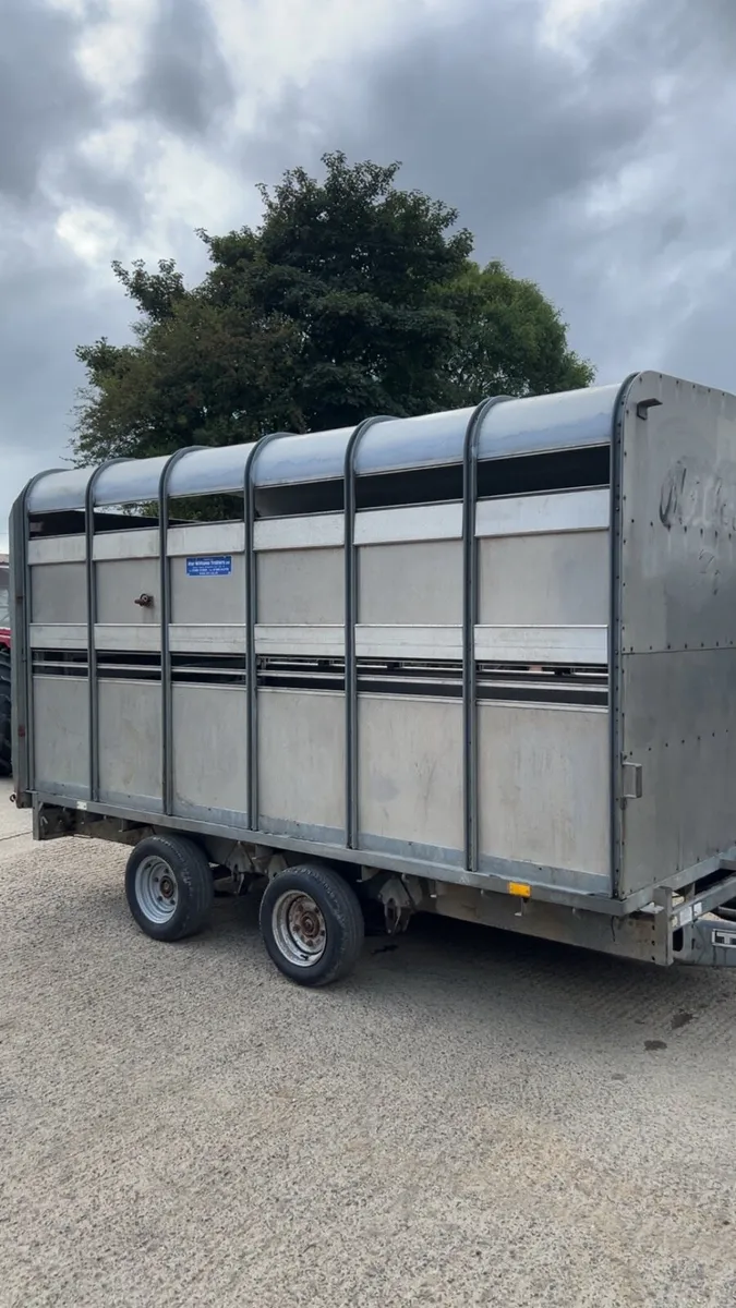 Ifor Williams 12ft cattle box - Image 2