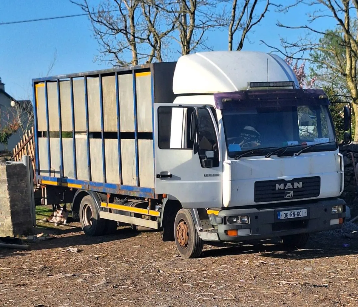 Man Cattle Truck - Image 1