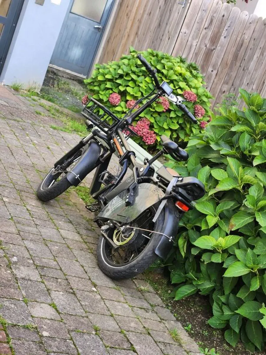 Ebikes - Image 1