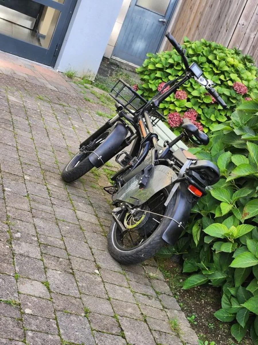 Ebikes - Image 2
