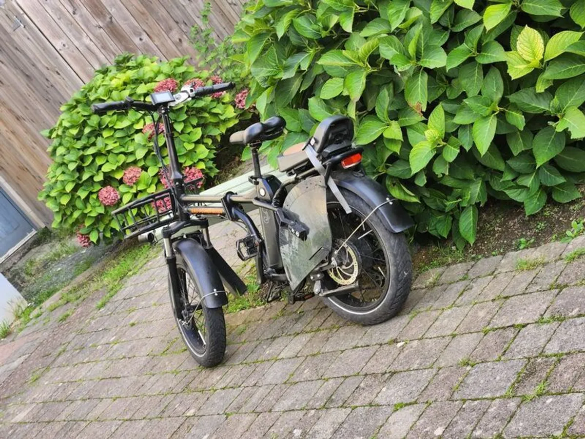 Ebikes - Image 4