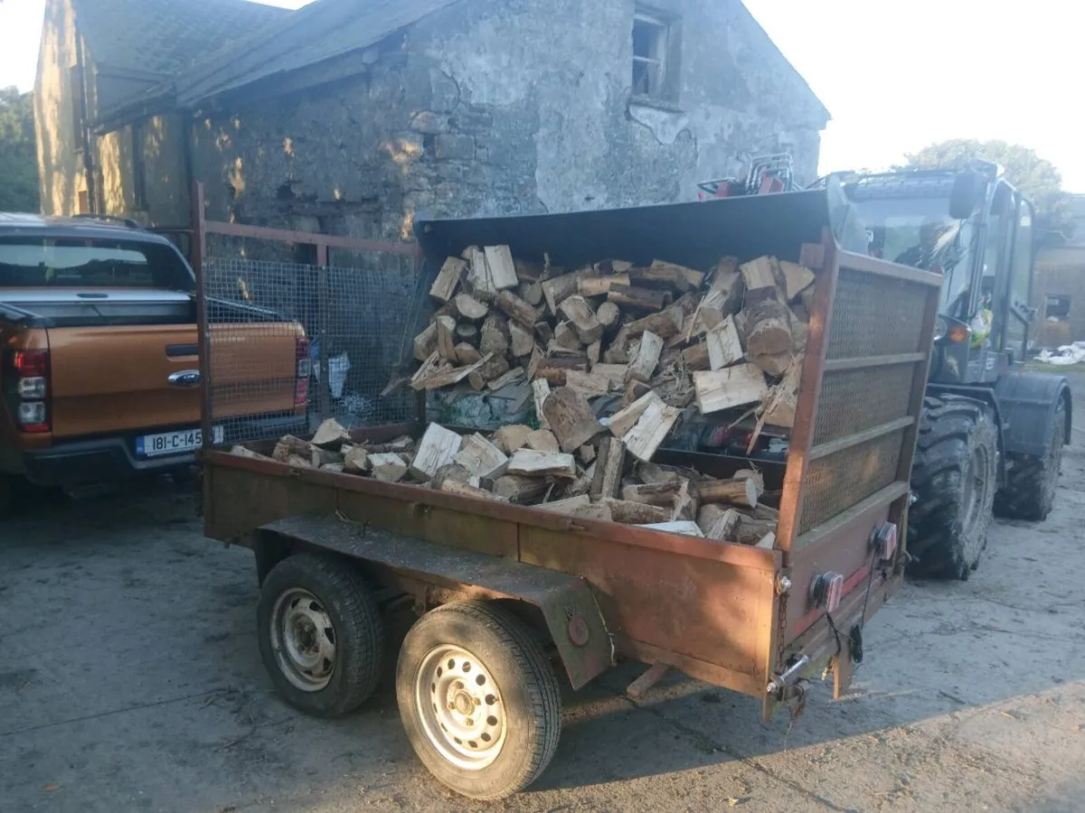 Firewood 🔥 🔥  Free delivery - Image 1