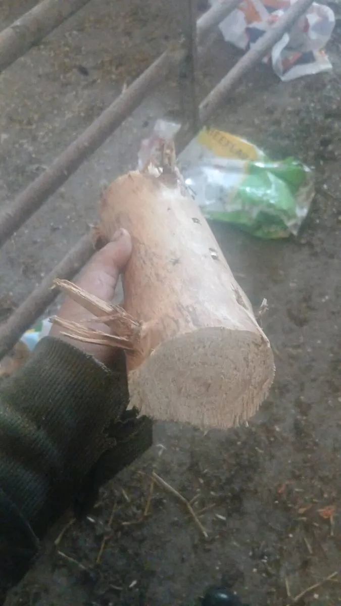 Firewood 🔥 🔥  Free delivery - Image 2