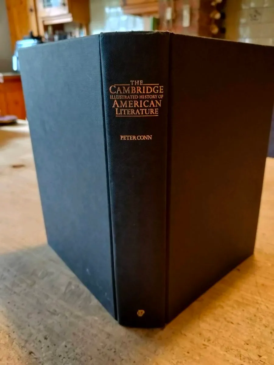 Illustrated History of American Literature by Pete - Image 3