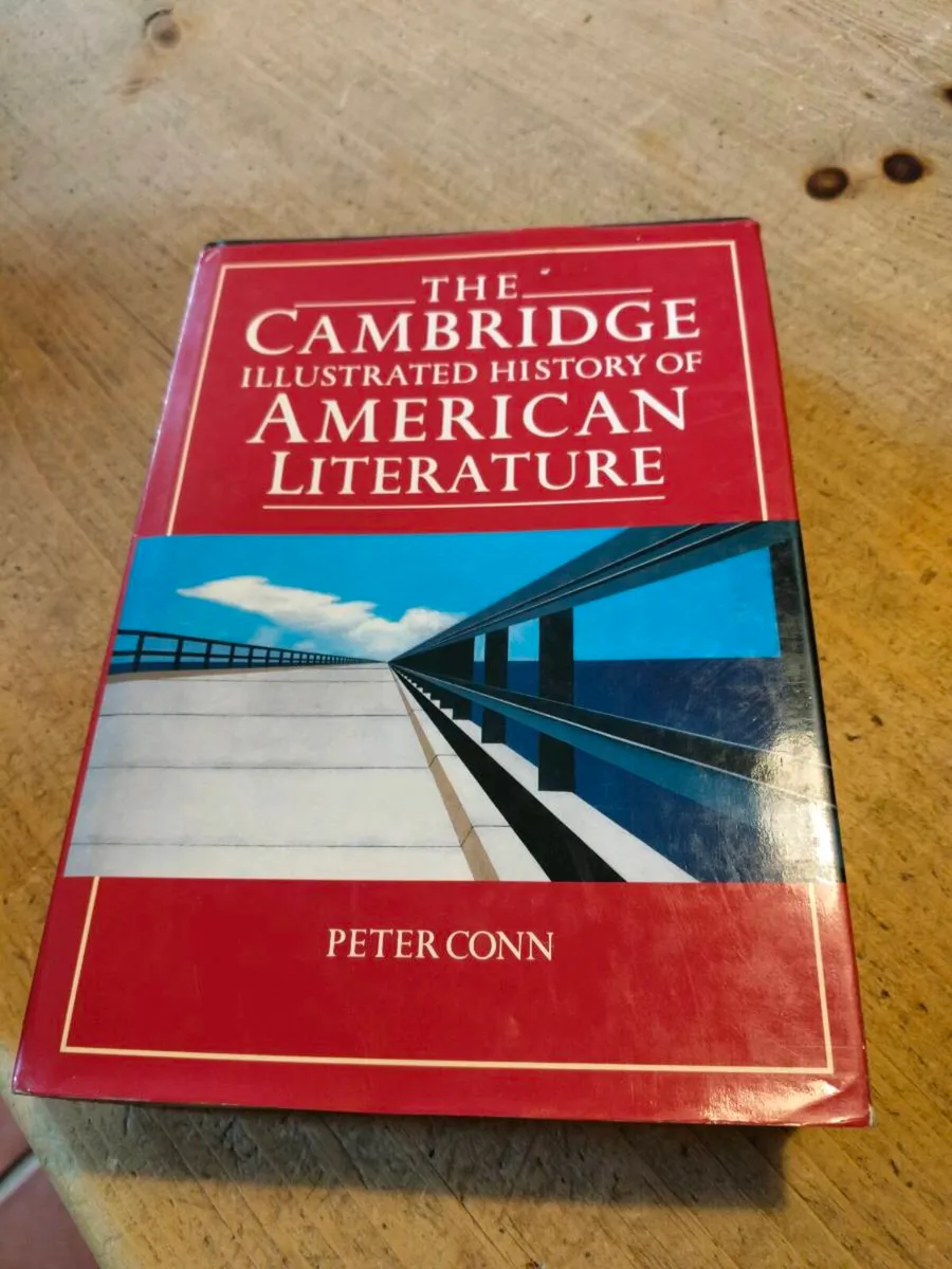 Illustrated History of American Literature by Pete - Image 1