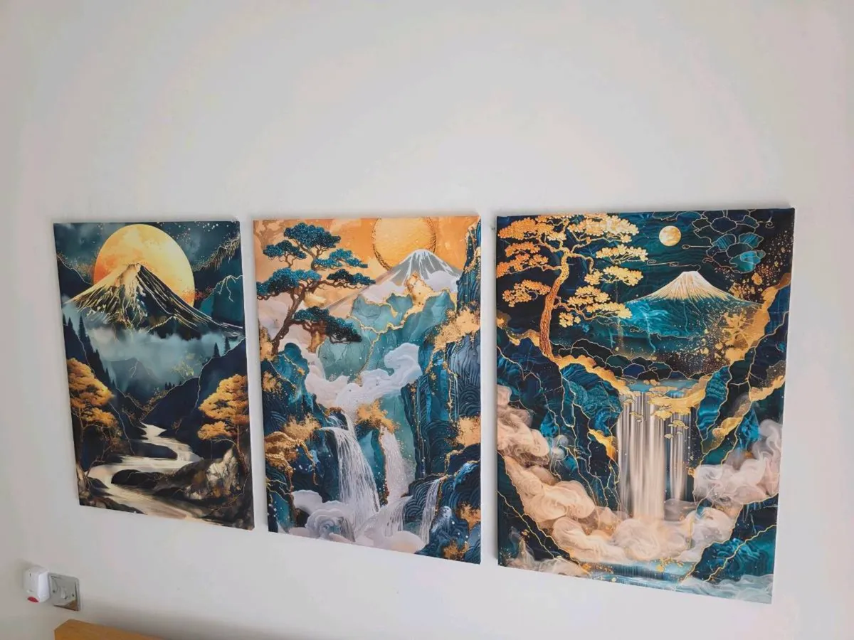 3 framed printed canvas 35x55cm each photo - Image 3