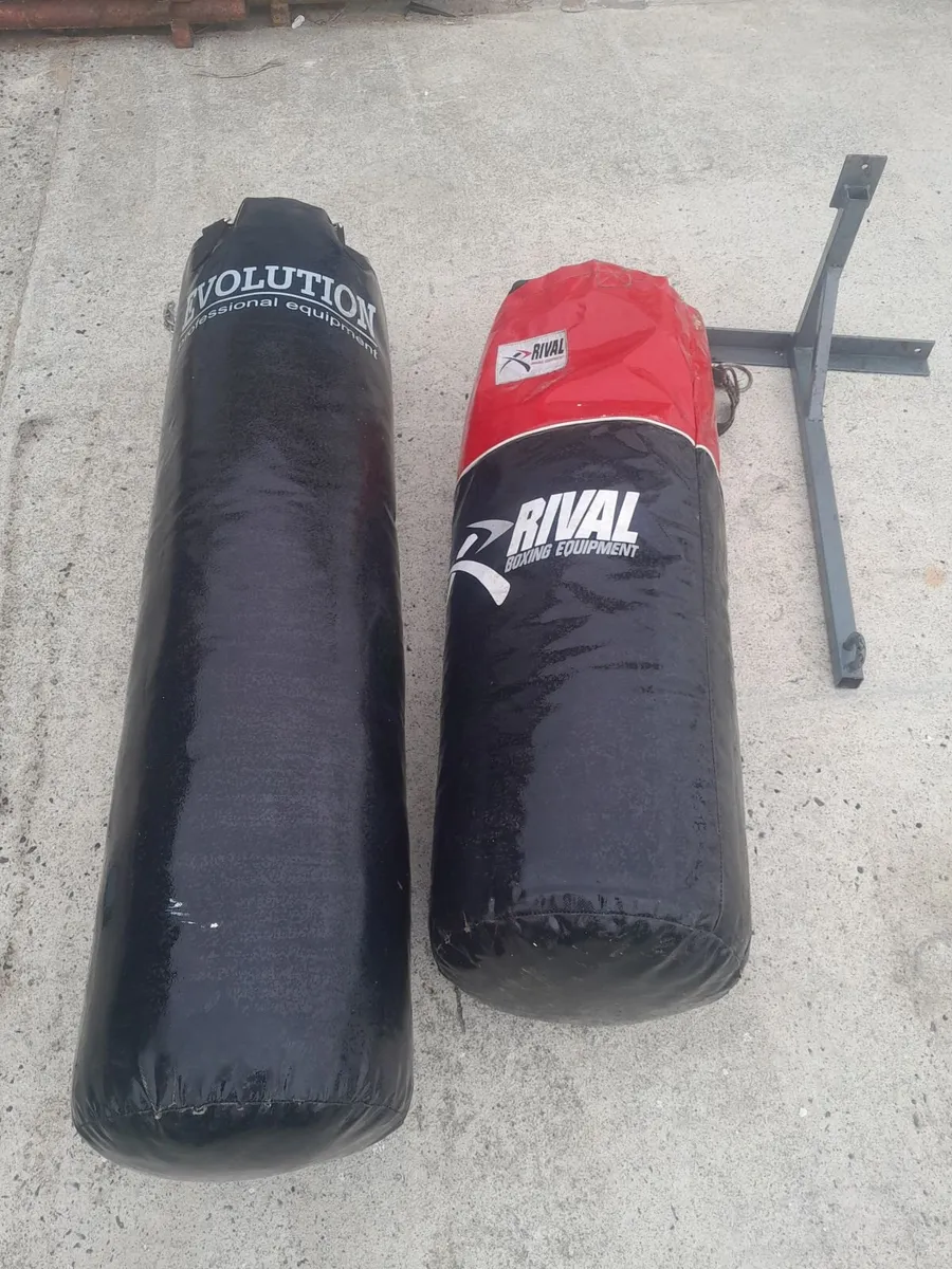 Punch bags and bracket