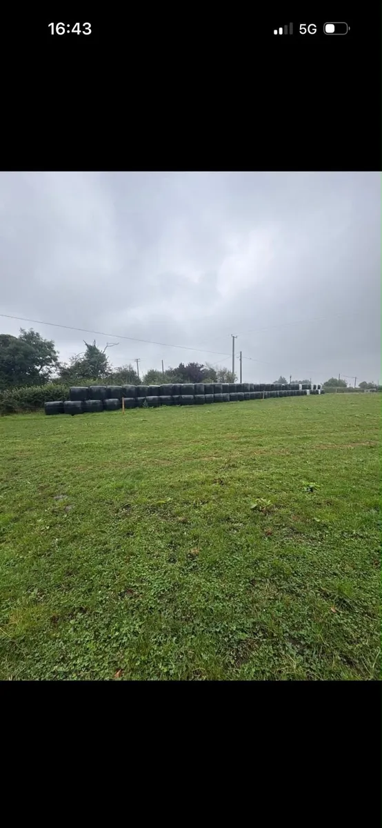 Hay/silage/haylage - Image 1