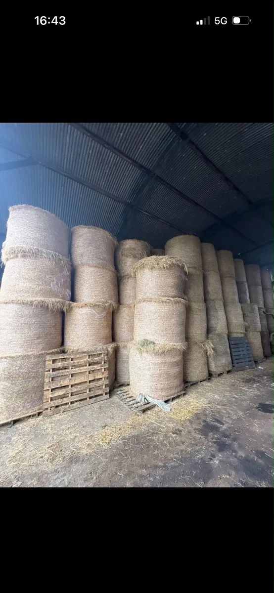 Hay/silage/haylage - Image 3
