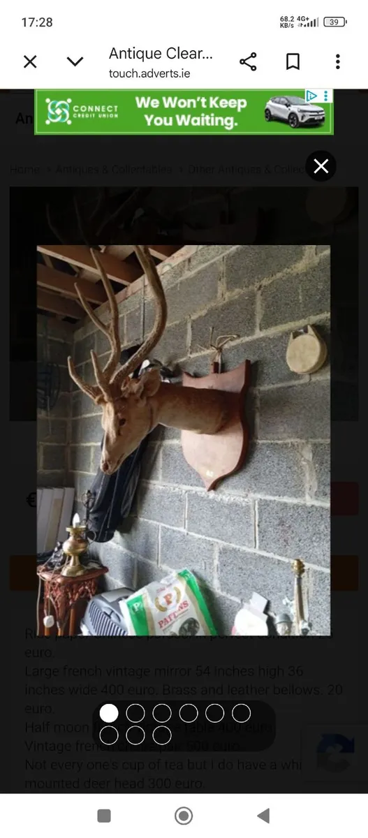 Antique white deer head
