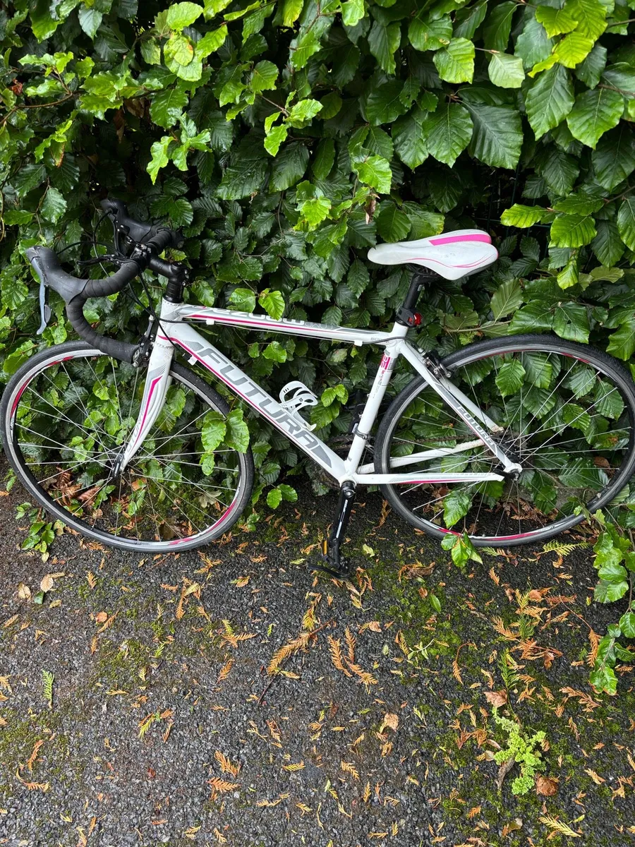 Bike - Image 1