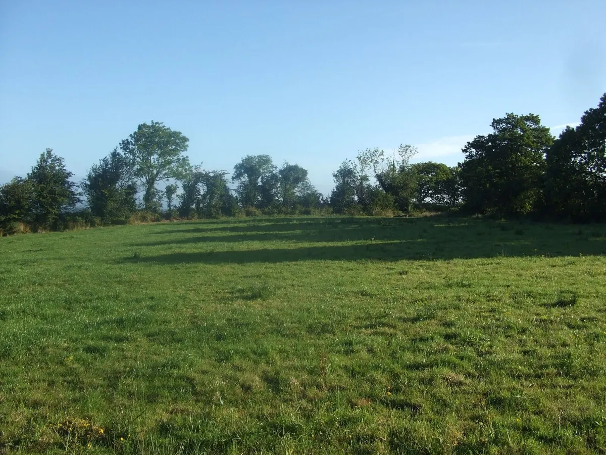 SITE - Image 3