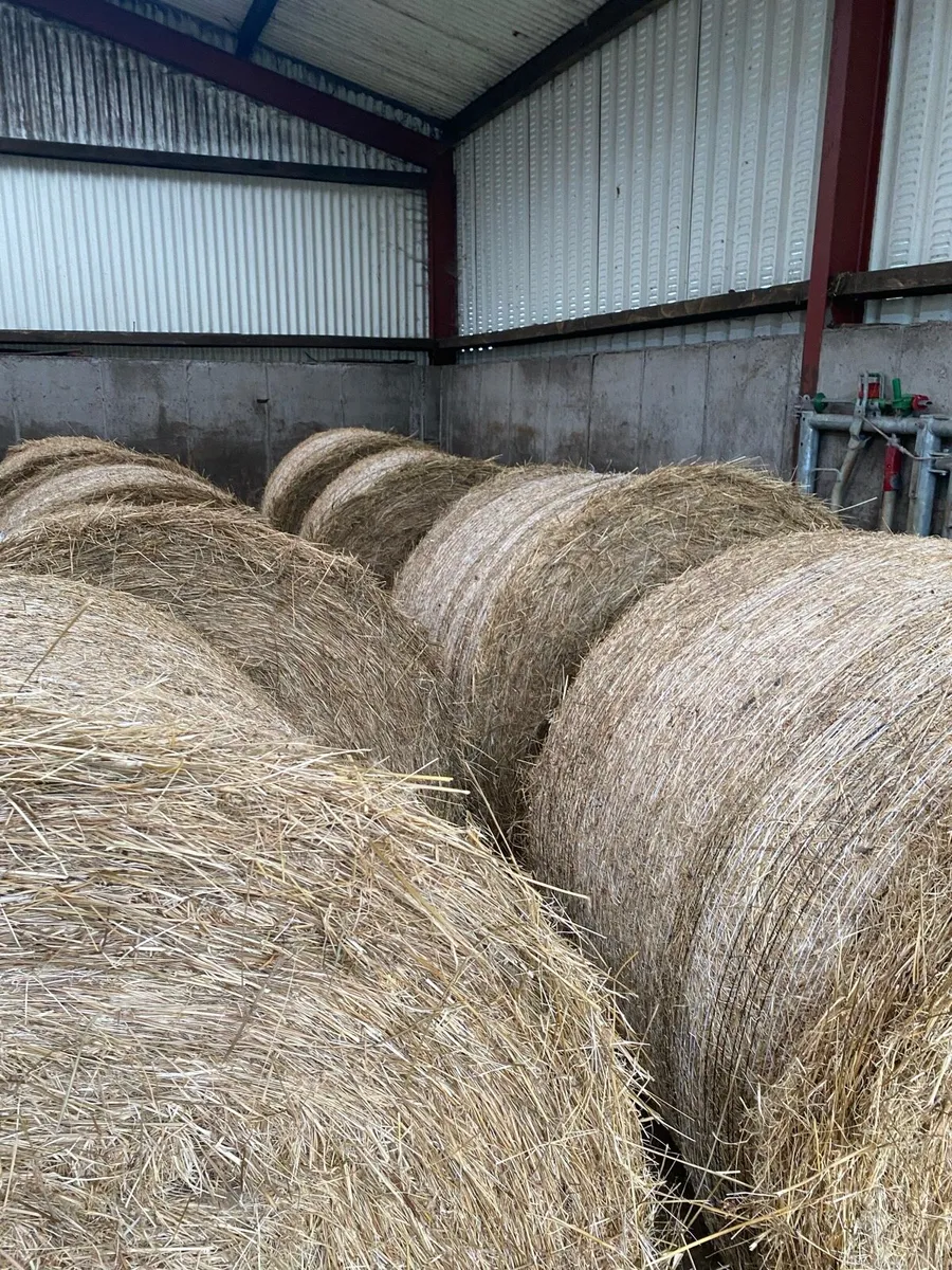 Bedding - Image 1