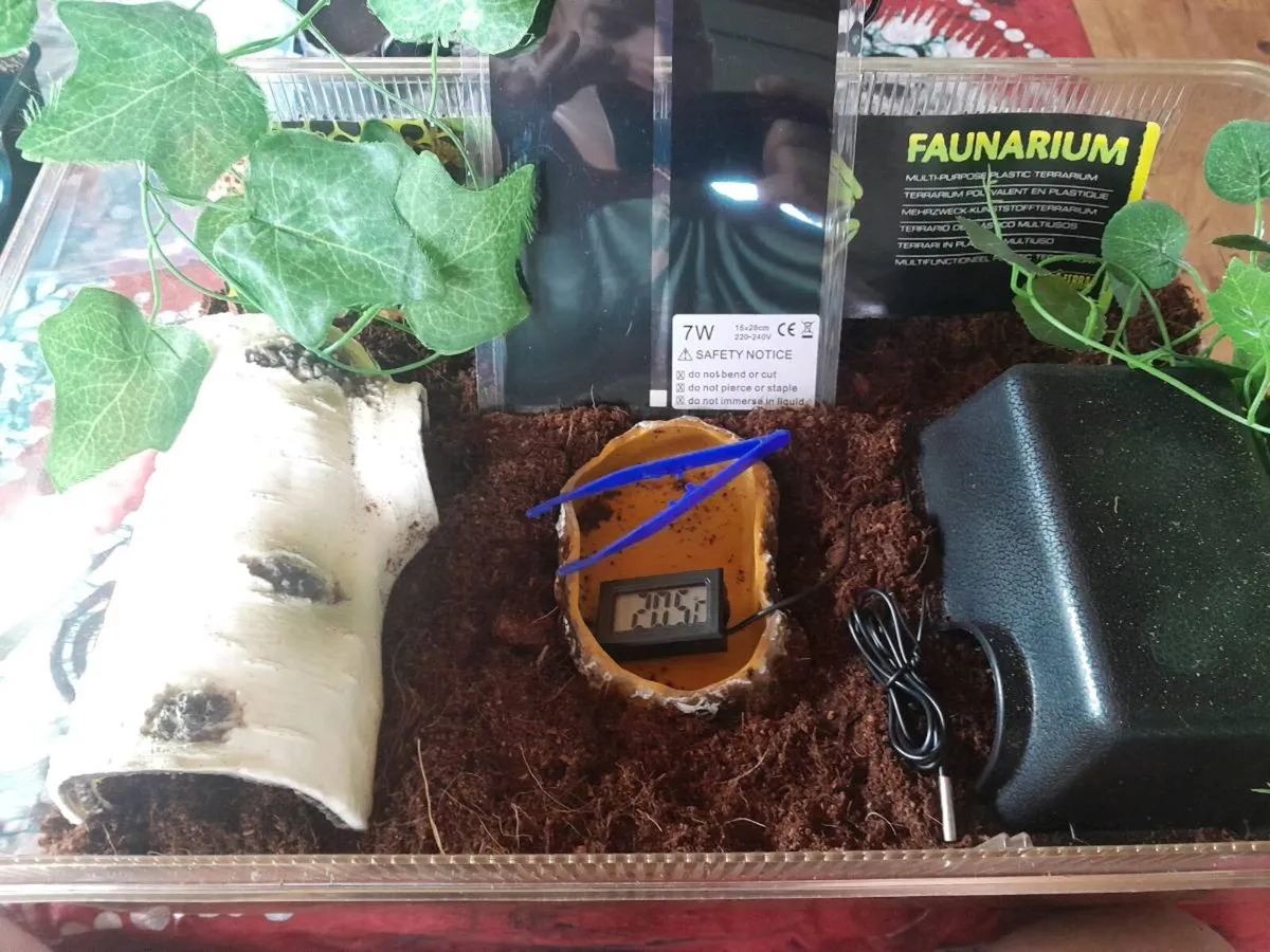 Snake Large Exo Terra starter kit - Image 2