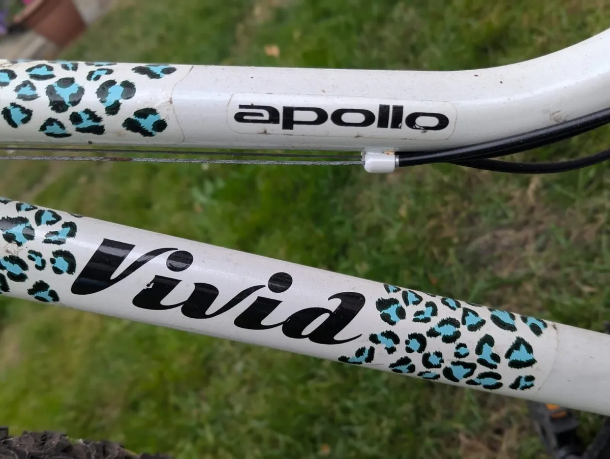 Bicycles (2) Girls - Image 4