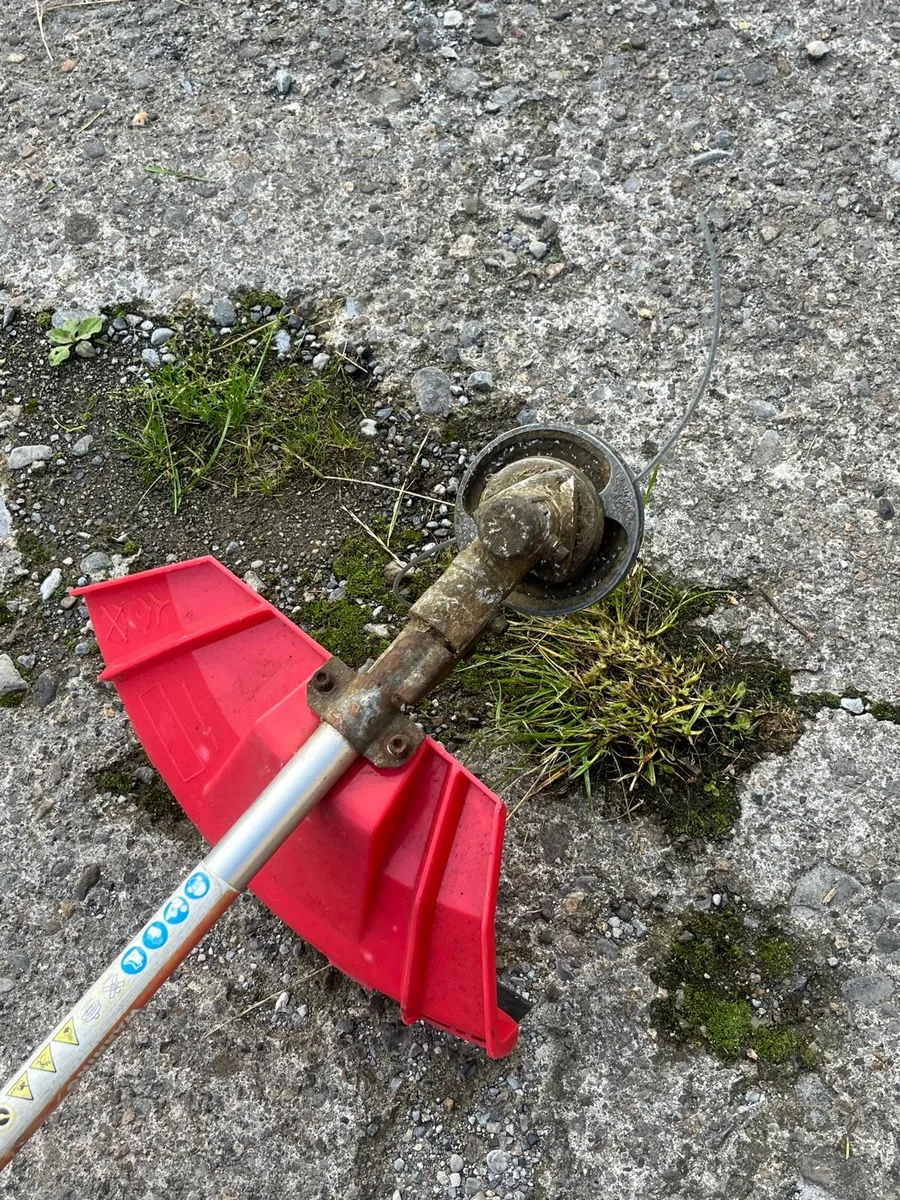 Strimmer - Image 4