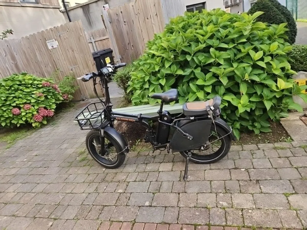 Ebikes-Rad Power - Image 1