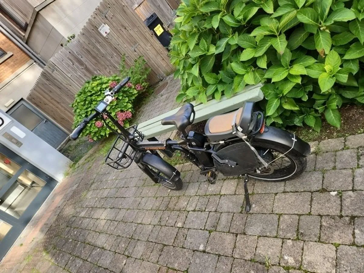 Ebikes-Rad Power - Image 2