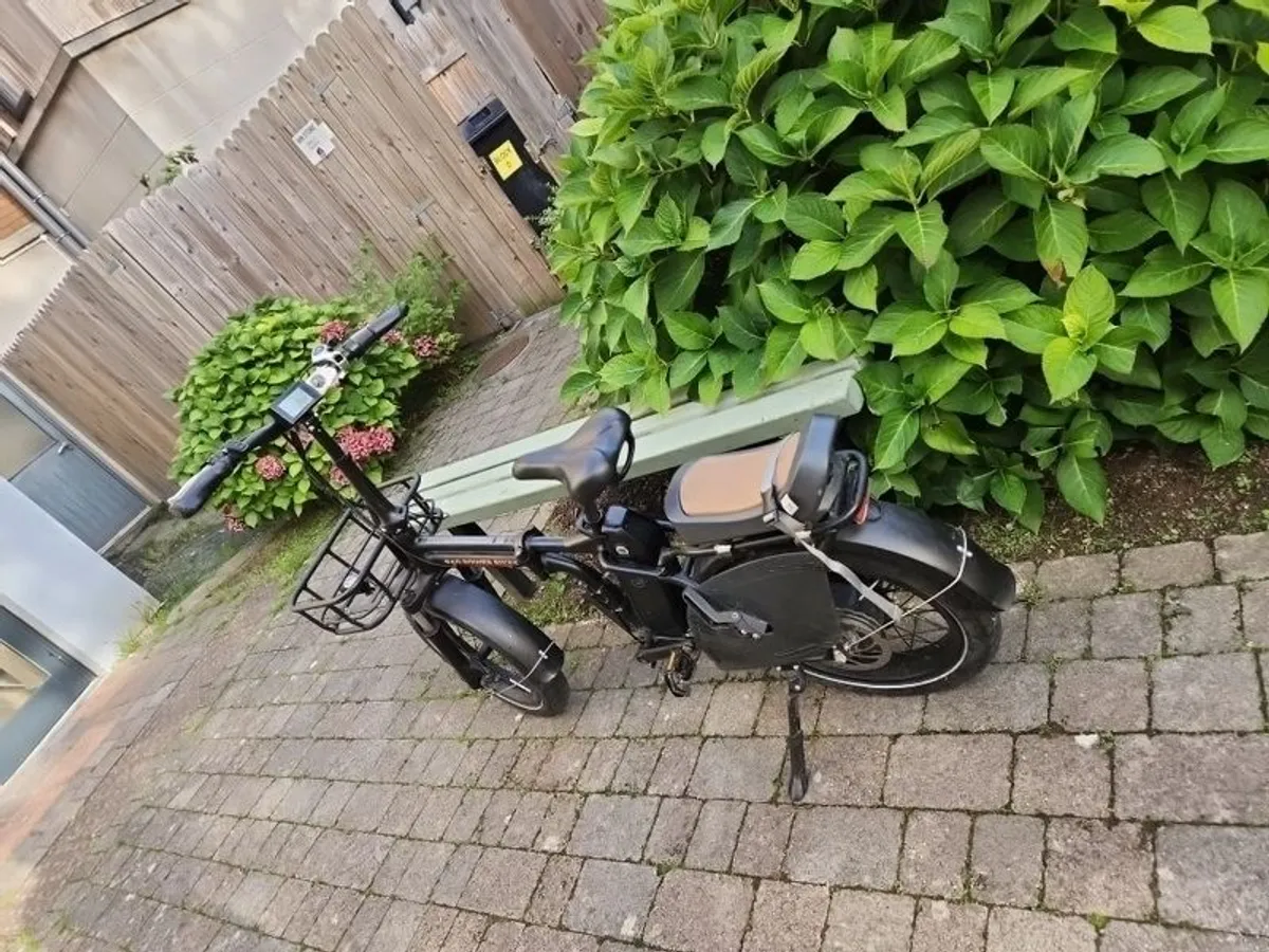 Ebikes-Rad Power - Image 3