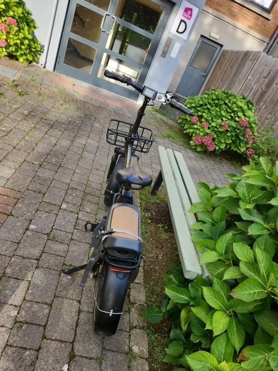 Ebikes-Rad Power - Image 4