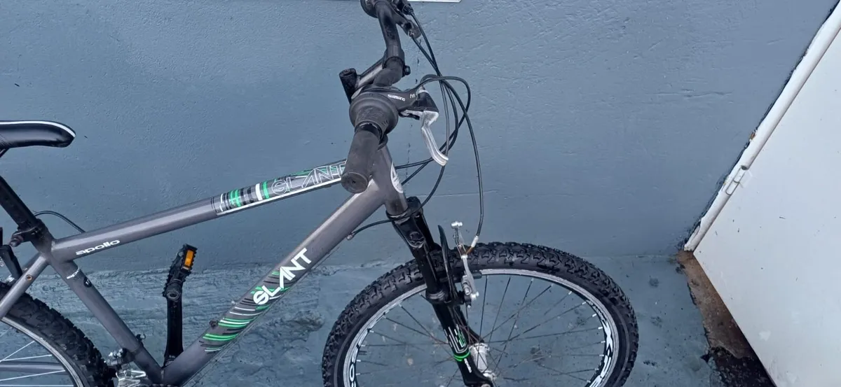 Bike - Image 2