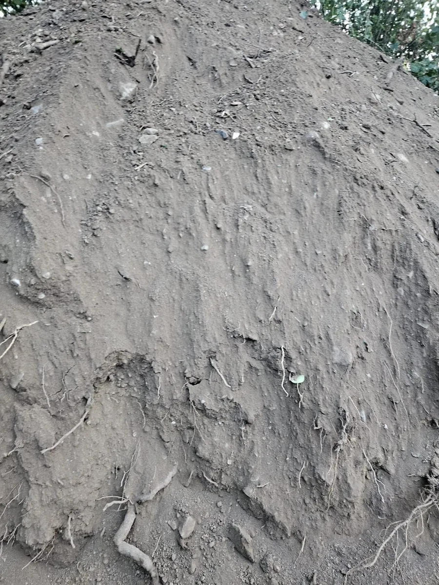 Top soil - Image 2