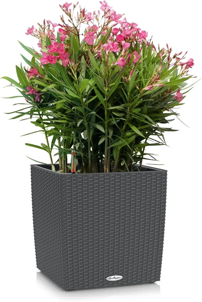 Self Watering Plant Pots Cube Cottage 40 Rattan - Image 2