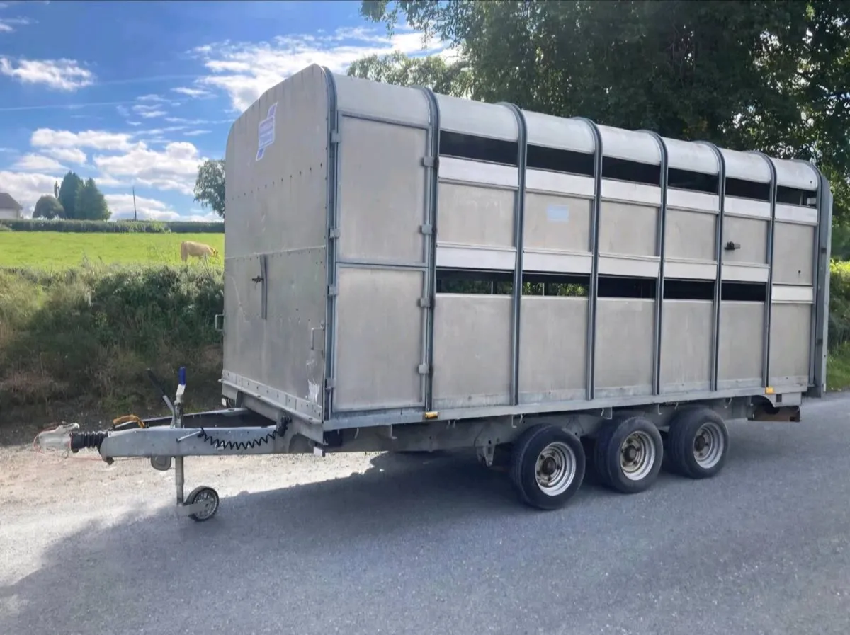 Wanted: Livestock Trailers (CT) - Image 2