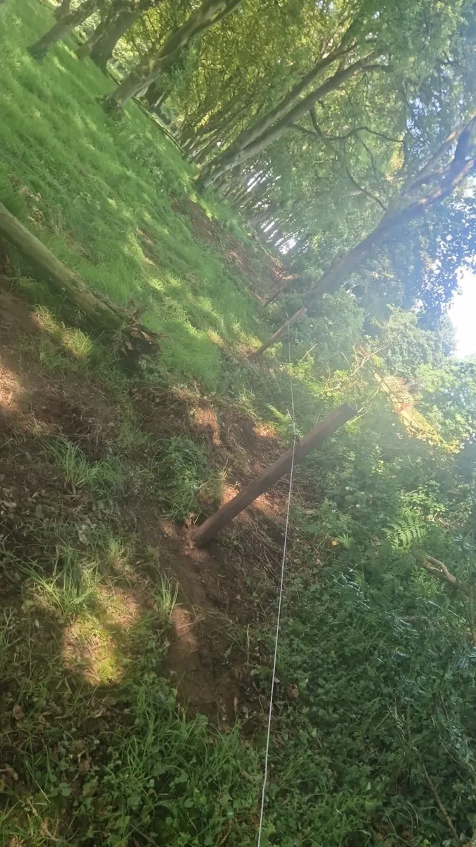 Fencing contractor - Image 2