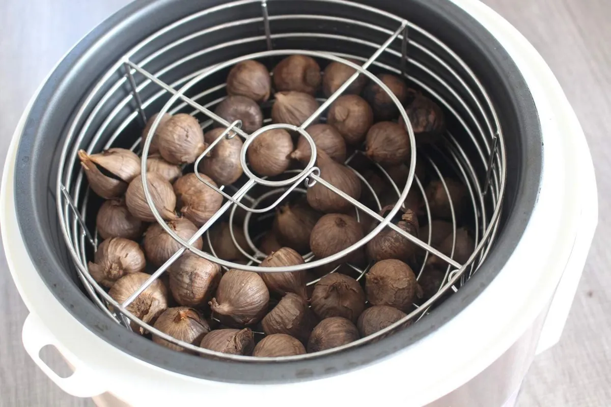 5L Garlic Fermenter Full Automatic Intelligent - Image 3