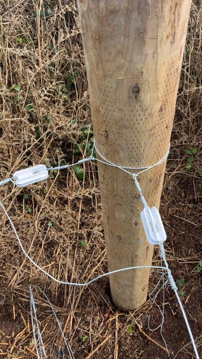 Fencing service available - Image 1