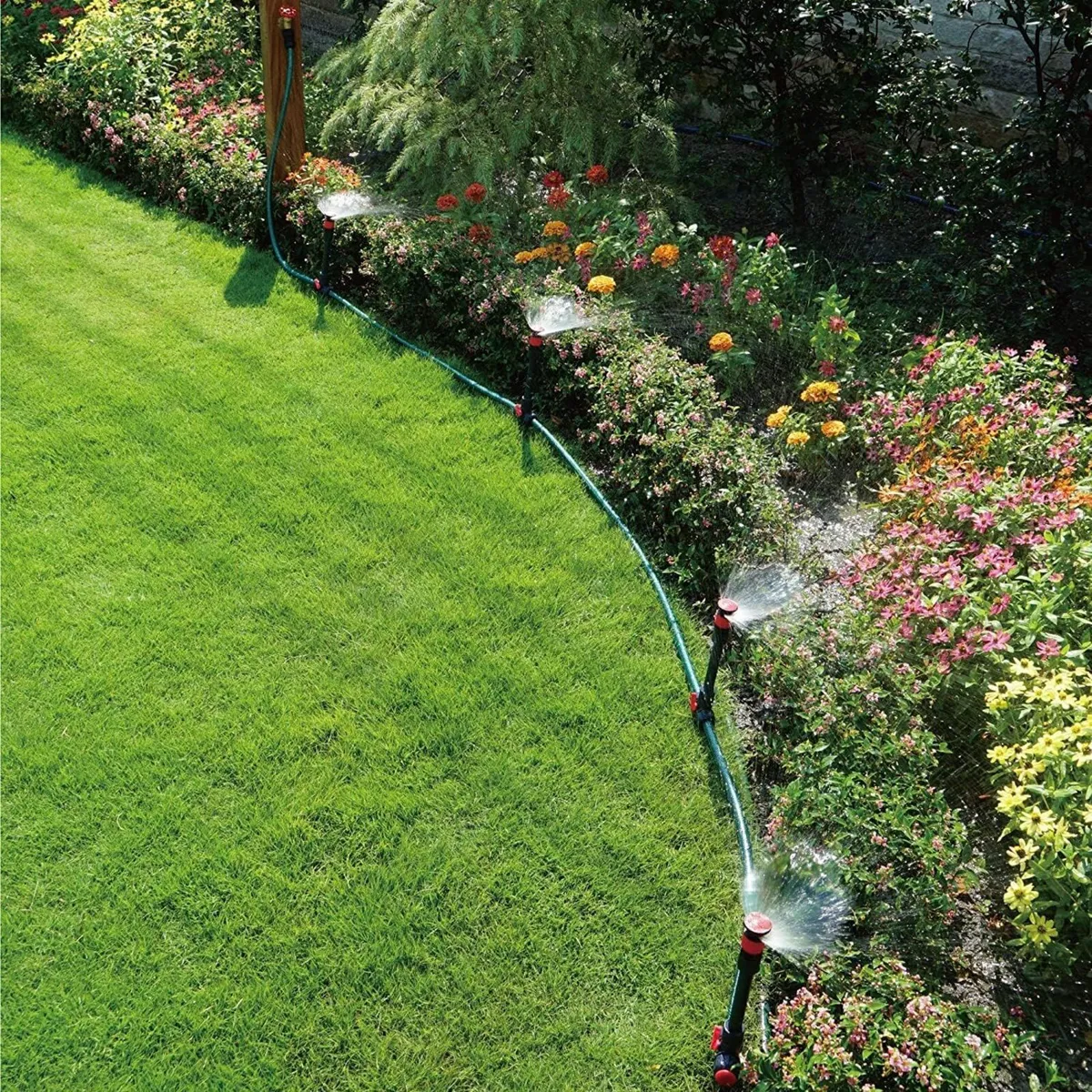 Multi-Adjustable Flex Design Above Ground - Image 2