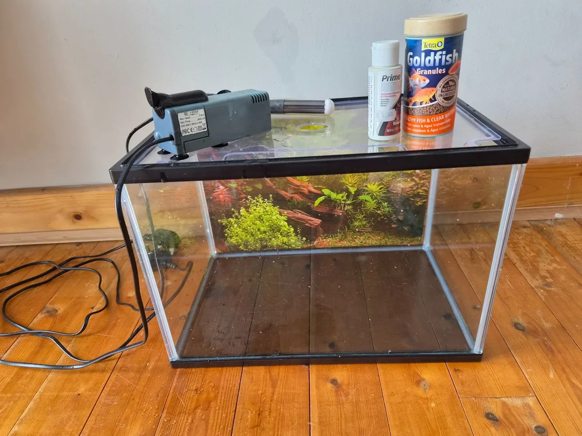 Fish Tank  W40×D25×H27 - Image 2