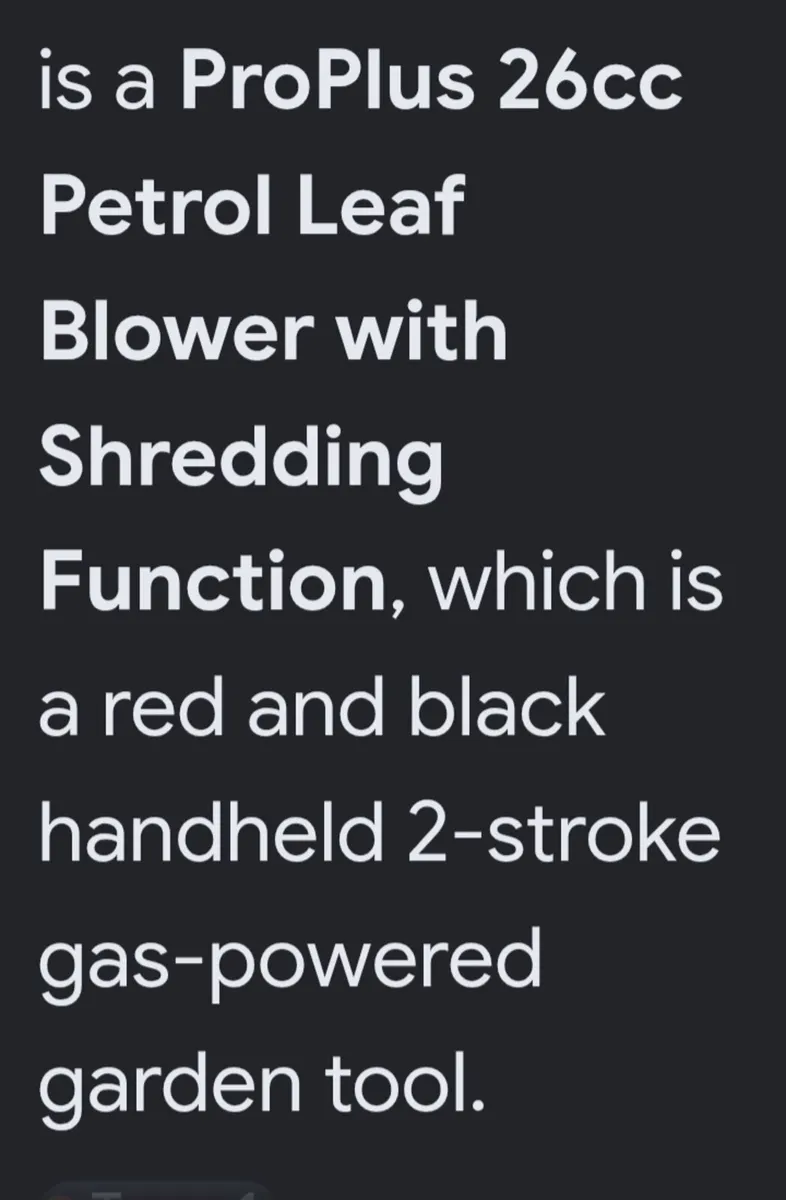 Leaf blower - Image 2
