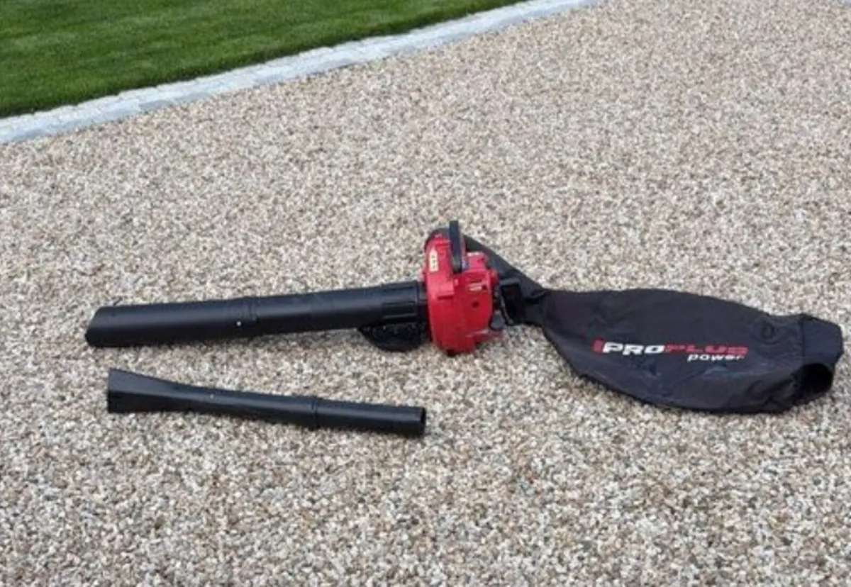Leaf blower - Image 1