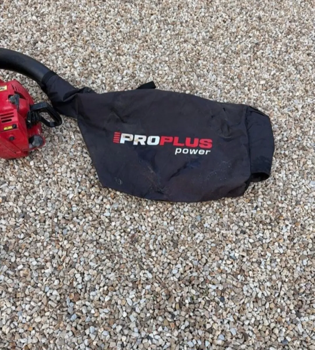 Leaf blower - Image 3