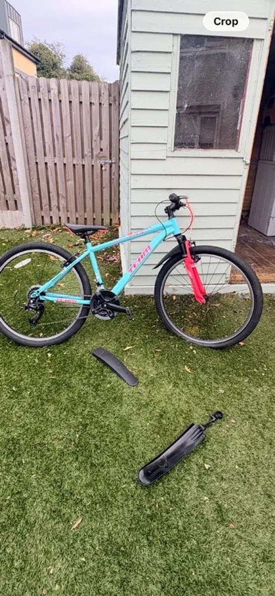Girls bike never used - Image 1