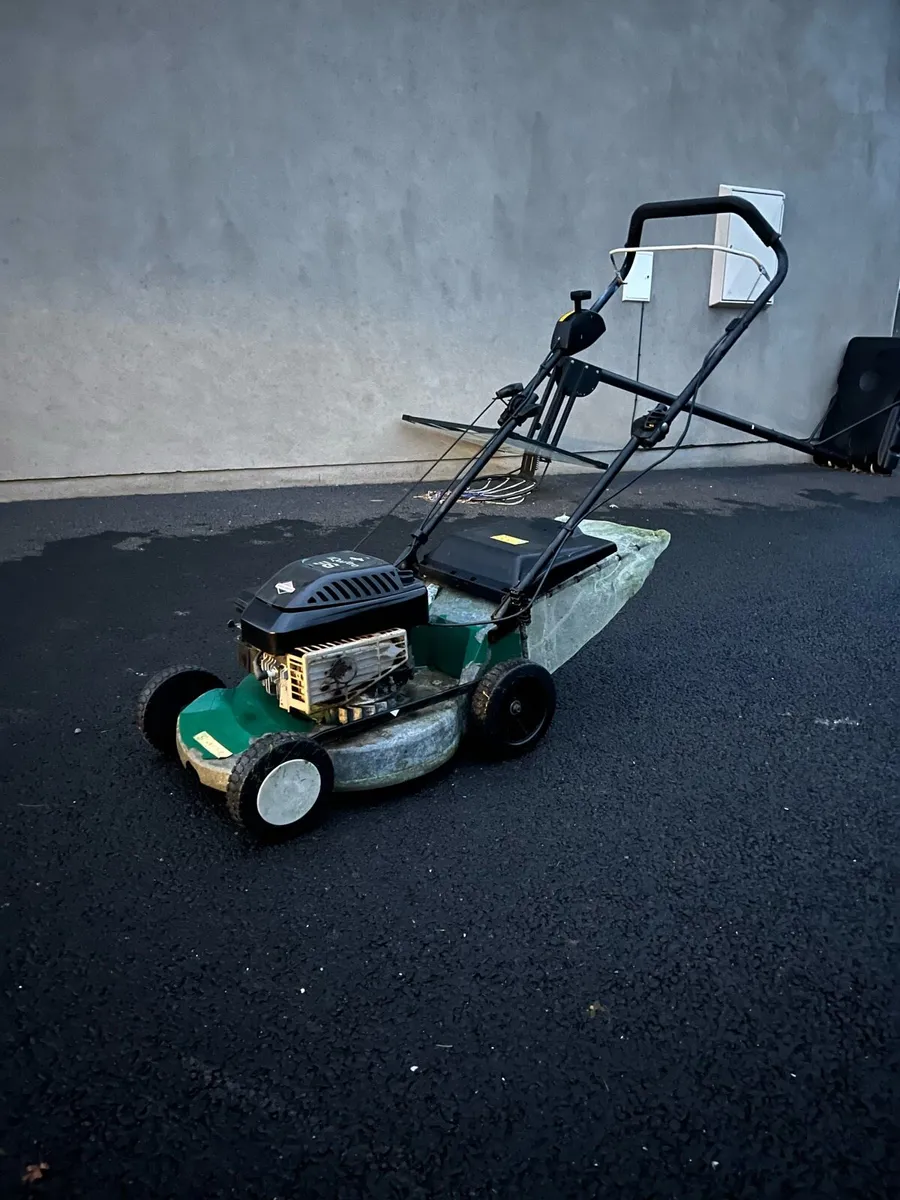 Marina lawnmower - Image 2