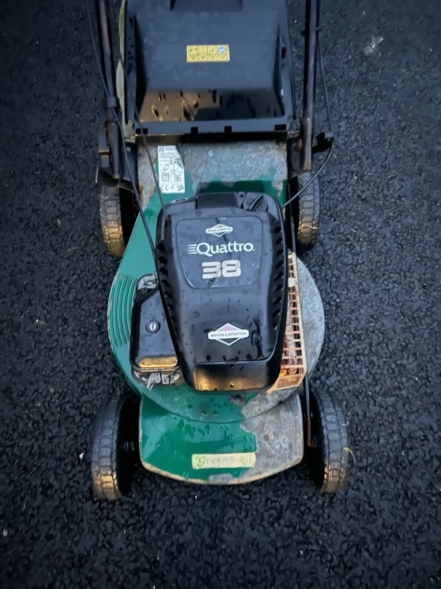 Marina lawnmower - Image 3