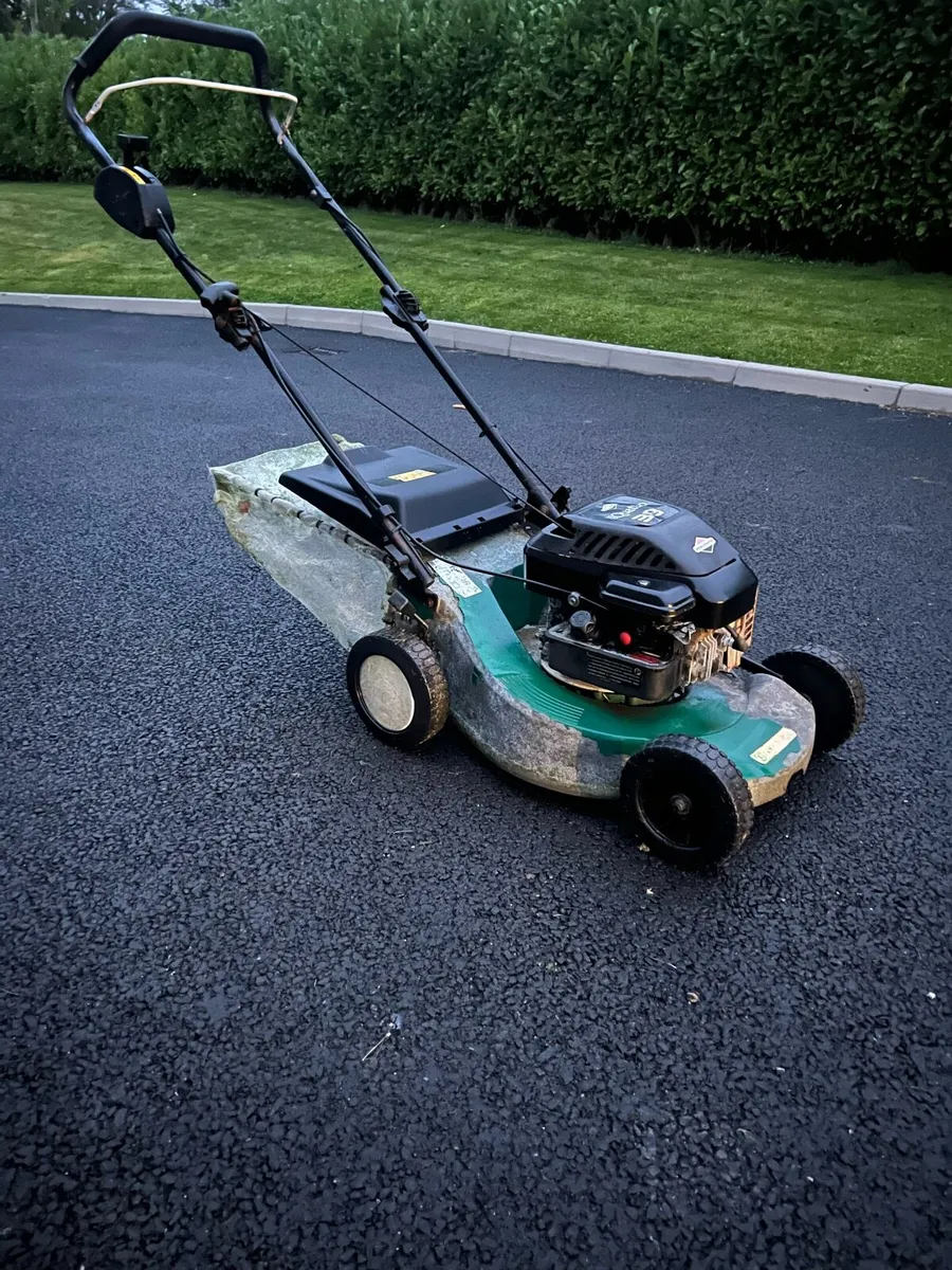Marina lawnmower - Image 1
