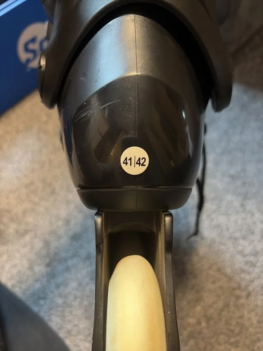 Rollerblades 41/42 + Protection - Image 2