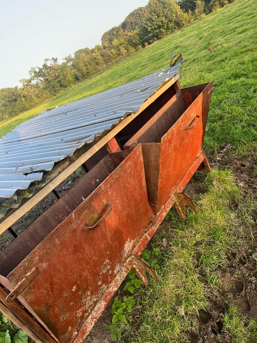 Calf creep feeder - Image 2