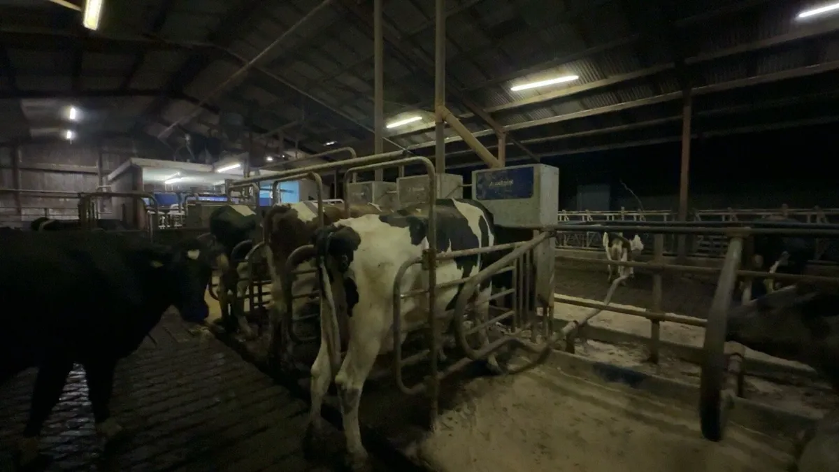 4 Delaval Out of Parlour Feeders - Image 1