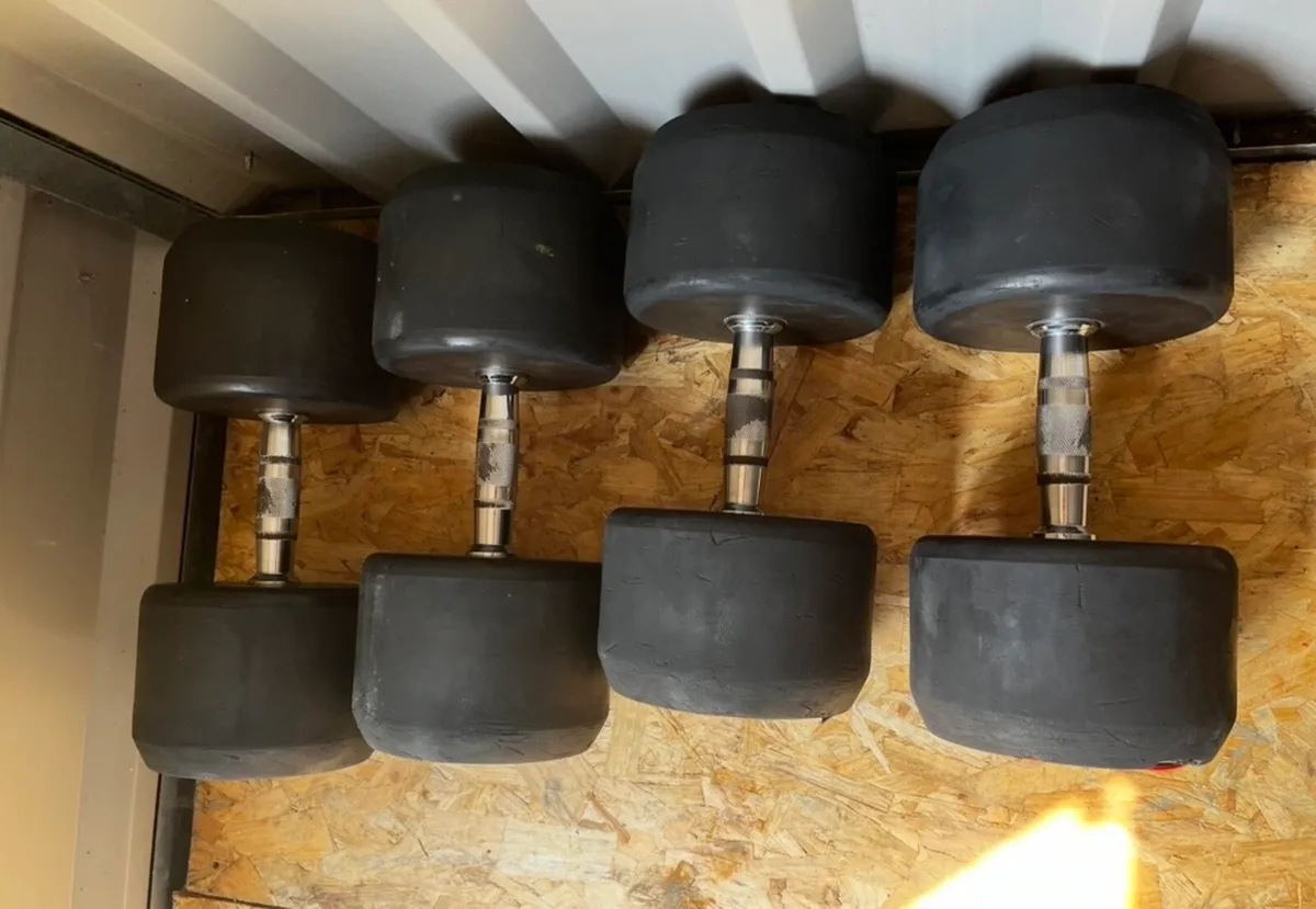 45kg & 50kg jordan dumbbells - Image 3
