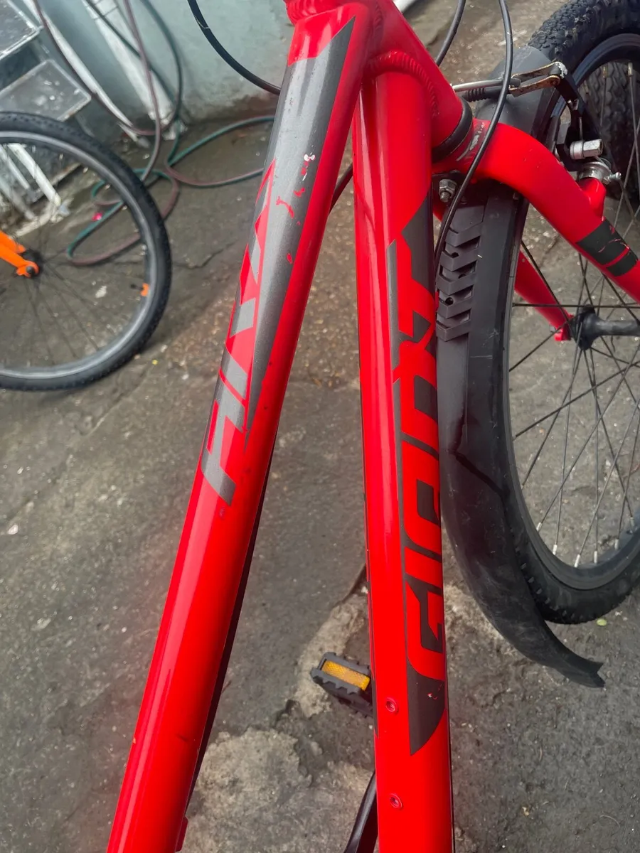 Bicycle x 2 - Image 1